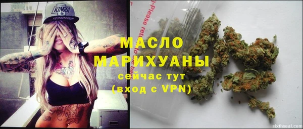ПСИЛОЦИБИНОВЫЕ ГРИБЫ Гусев