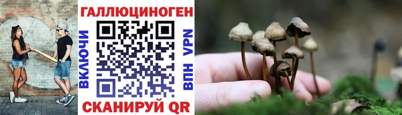 Галлюциногенные грибы ЛСД Острогожск